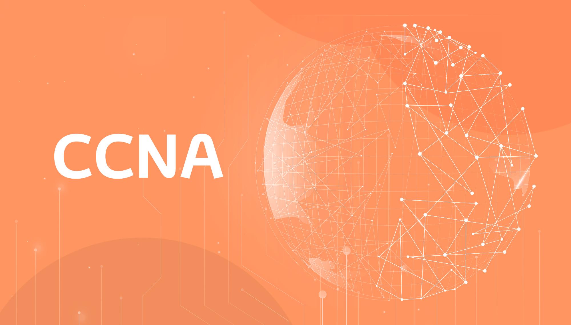 خولی پرۆفشناڵی نێتوۆرک و بڕوانامەی CCNA