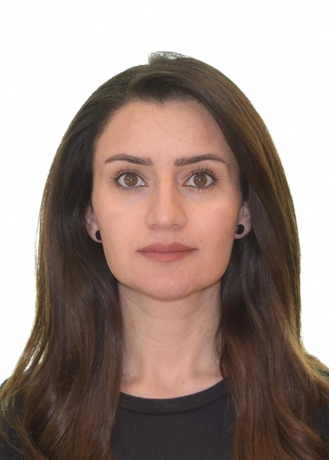 چرۆ زەنگەنە - Instructor profile